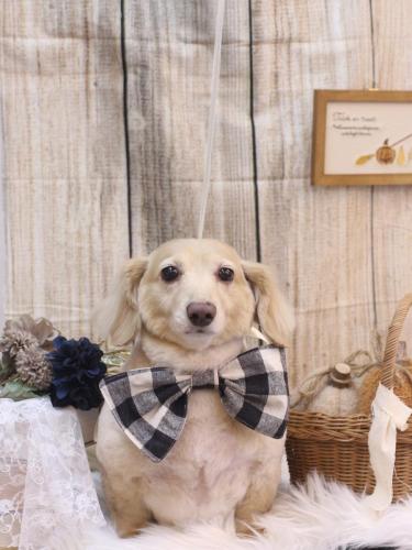 20241009テヤンくん